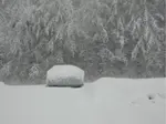 How To Forgive Someone Snow Laden MR2