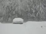 How To Forgive Someone Snow Laden MR2