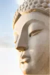 Visualization Tips Buddha Image