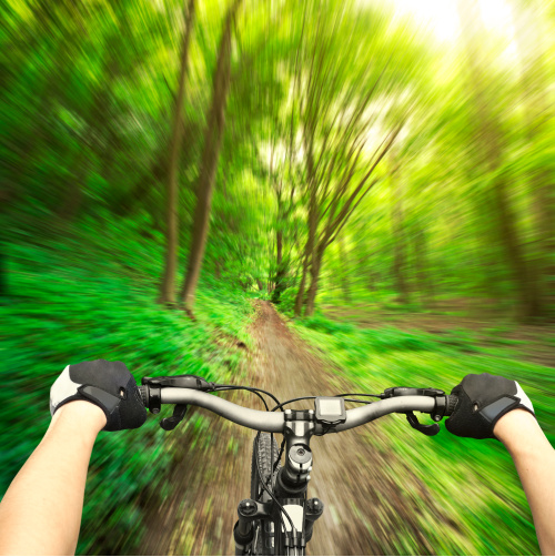 Use the benefits of visualization to navigate your path through life.  A bike ride through a forest symbolizes navigating a path.