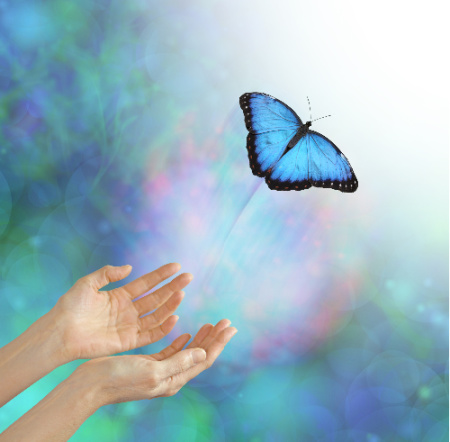 When you play with the tips on the "How to Forgive Someone" page, you have access to peace of mind as symbolized by the butterfly taking flight.