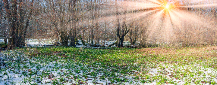 Tithe and Offering:  tithing can encourage prosperity, but it can start like the grass growing amidst a cold frost as in this photo.