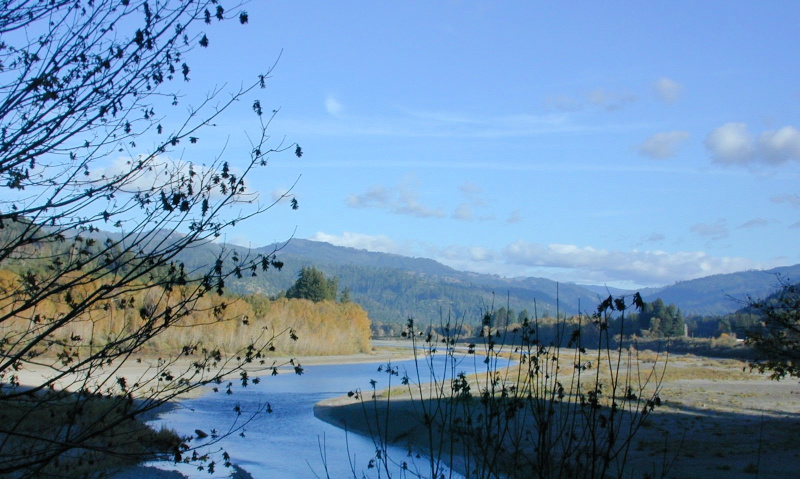 Redwood Forest valley - use images to help you with mind visualization.