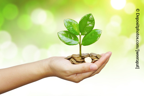 Use money affirmations to plant the seeds of your prosperity.