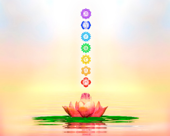 Chakra symbols above a lotus flower.  Chakras are often re-balanced during proper vibrational energy healing.